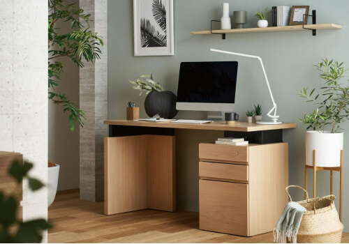 シリーズ：ネスティス画像