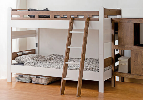 シリーズ：ニューエリア画像