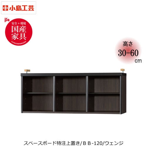 ベーシックボートクチュウBBー120ウェンジ