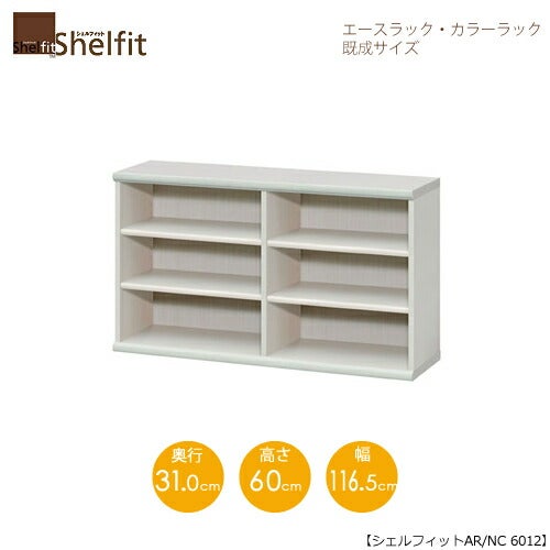 エースラック/カラーラックAR/NC6012〔高さ60・幅116.5・奥行31（cm）〕【シェルフィット】【収納】【棚】【本棚】【5色】【組み立て家具】【大洋】