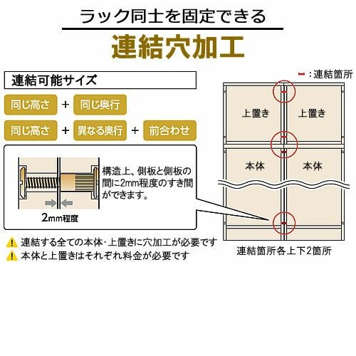 チョイスグリッドラックCGR連結穴加工【多目的ラック/オープンラック/リビング収納/オフィス/ショップ/大洋】