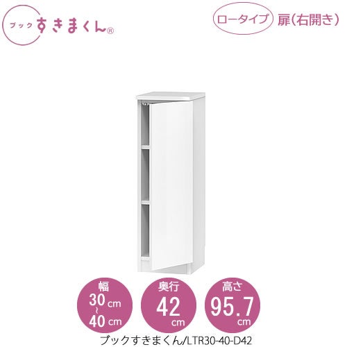 ブックすきまくんBSDLTR30-40/D42【リビング/書斎/書棚/壁面収納/組合せ】