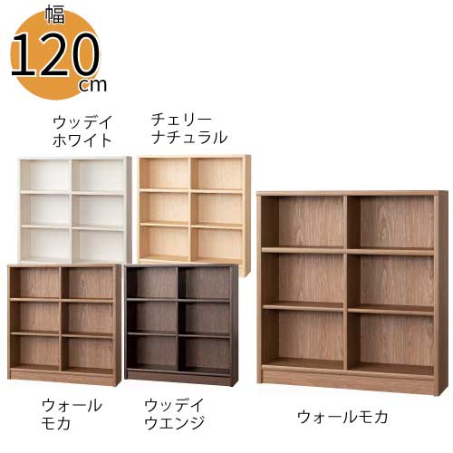 【小島工芸】本棚【低ホルム】アコード120M