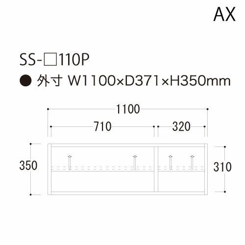 アイシス/SS-110P上置き